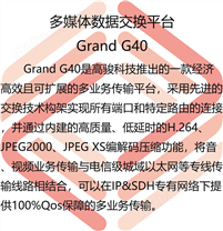 多媒体数据交换平台Grａnd G40