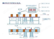 KM-FX系列自动重量分选机