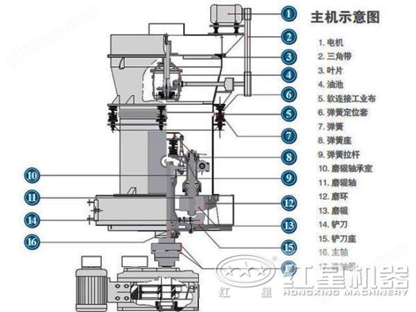 云顶之弈手游会员结构图