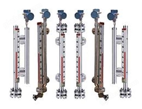 万喜堂彩票注册网站 磁翻板液位计(2)