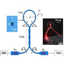 干涉型单模微纳光纤传感器 1270-2000nm 双锥形光纤腰椎直径800nm