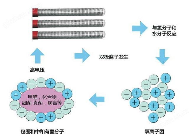 超氧离子工作原理图.jpg