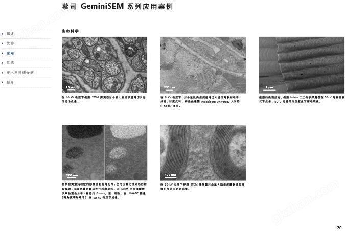 CN_40_011_095_GeminiSEM_rel_3_1-20