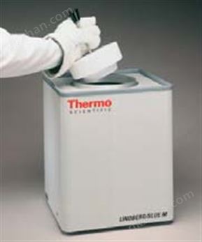 万喜堂app下载老虎机 Thermo Scientific 1200℃坩埚炉