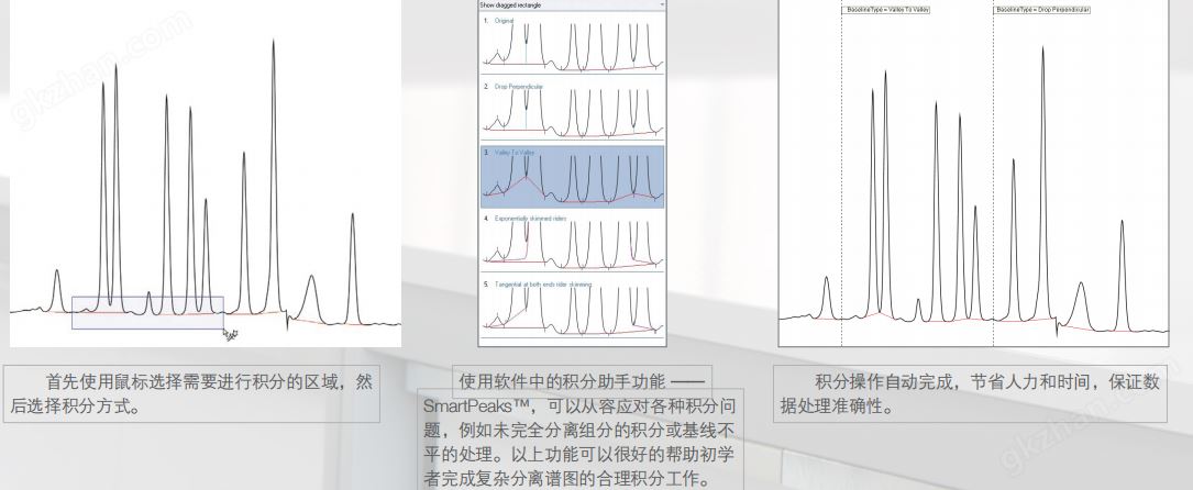 离子色谱柱图谱