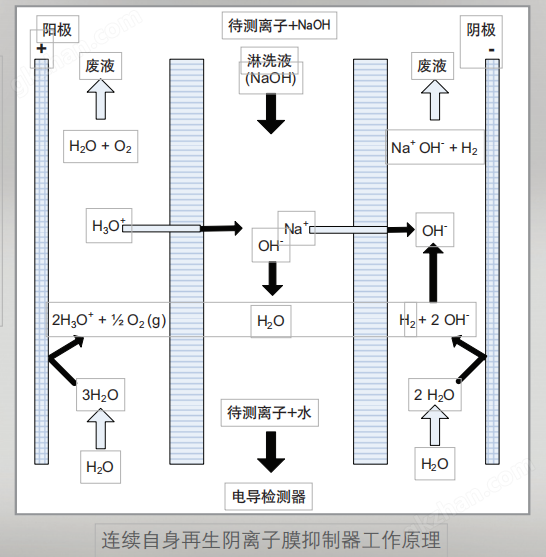 连续自身再生阴离子膜抑制器工作原理