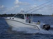 波斯威娜Boston Whaler 315 Conquest 钓鱼船