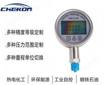 YS100/150 数字压力表 多规格定制 专业压力测量