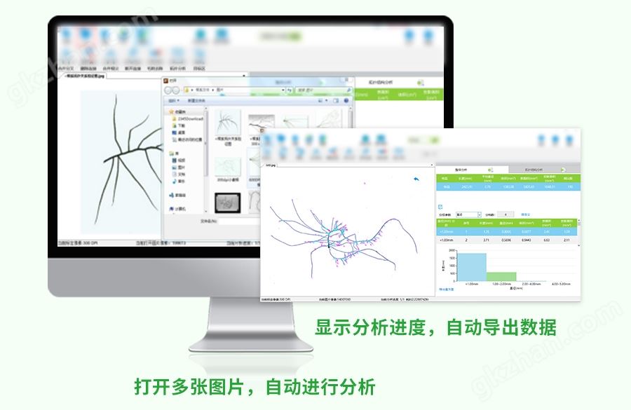 根系分析仪