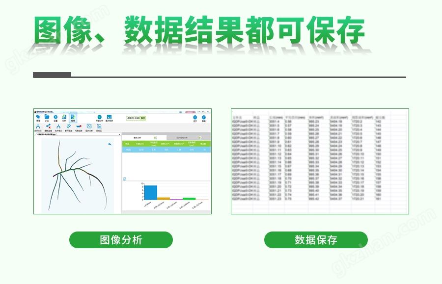 根系分析仪