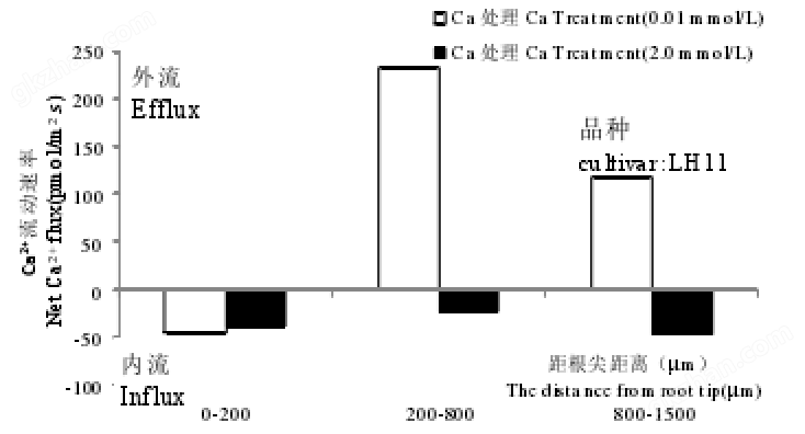 07zhiwugaixinhao