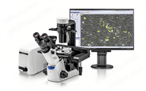 奥林巴斯CKX53倒置显微镜