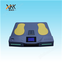 XNK-XD200鞋底金属探测仪