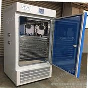 澳德玛HWXL-300D精密恒温干燥箱 恒温干燥箱 恒温恒湿箱 恒温培养箱 定做非标恒温箱生产厂家 全国恒温箱一件代发