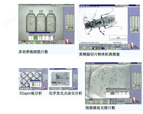 fluorchem fc2 通用型化学发光，荧光和可见光成像系统