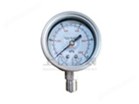 万喜堂app下载老虎机 YE系列 PRESSURE GAUGE