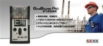 GB60二氧化硫气体检测仪