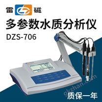 上海仪电科学上海雷磁多参数分析仪DZS-706