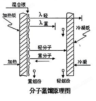 万喜堂app下载官方入口 短程分子蒸馏设备