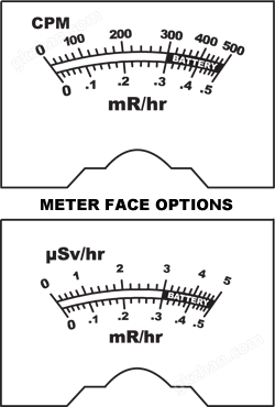 Meter Face Options