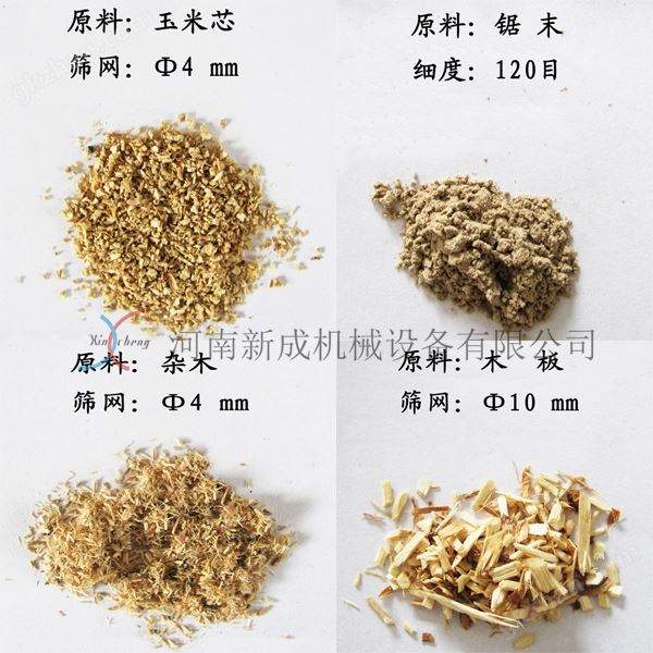 小9直播体育免费直播下载