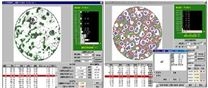 金相图谱自动分析软件
