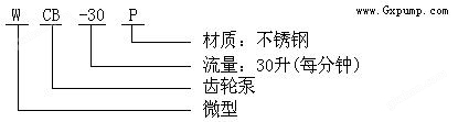 万喜堂app下载体育真人 WCB手提式齿轮油泵(微型)