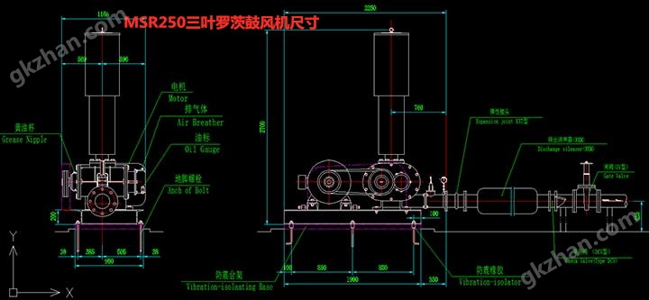 MSR250三叶罗茨鼓风机外形图