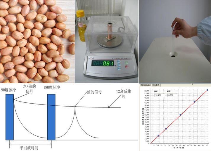 万喜堂app下载老虎机 核磁共振含水含油率分析仪