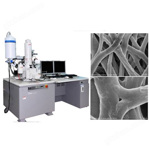 万喜堂app下载老虎机 冷场发射扫描电子显微镜(SEM)2