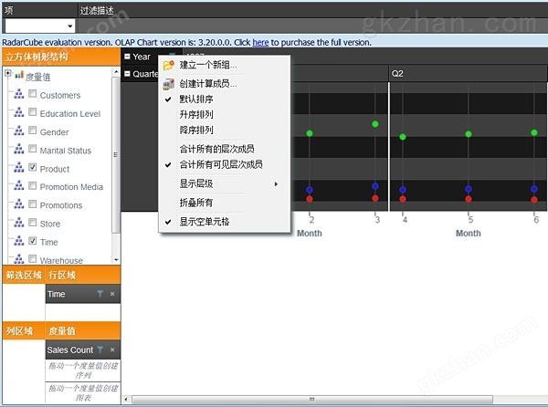 RadarCube ASP.NET英文界面的汉化效果