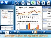 Silverlight Viewer for Reporting Services