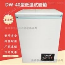 沧州华屹DW-40低温试验箱小型低温冰箱-50度-60度超低温冰柜