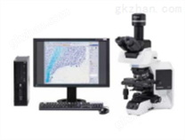 奥林巴斯显微镜BX53（正置/荧光/相差）