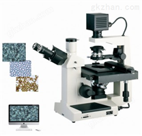 DYS-338倒置生物显微镜