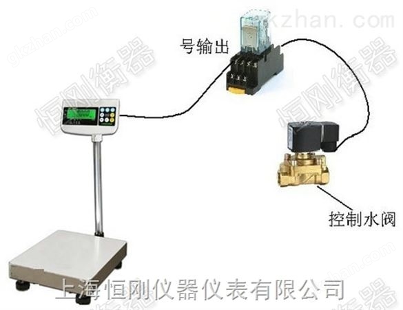 宜昌带开关量信号电子秤