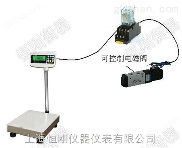 宜昌带开关量信号电子秤