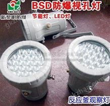 BSD96-L10W防爆视孔灯LED防爆视镜灯