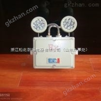 供应消防应急BCJ-2X10W防爆双头应急灯