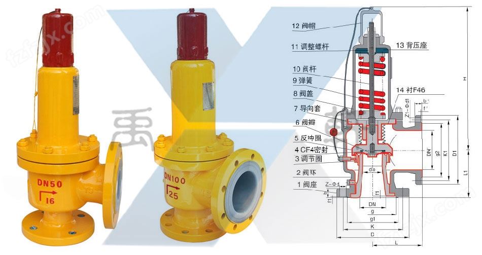 <strong>WA42F46-25C-DN100波纹管氯气专用安全阀</strong>(图1)