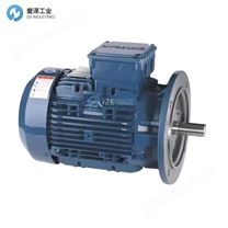 HYOSUNG电机TEFC 5.5KW 380V 50HZ 132S 4P