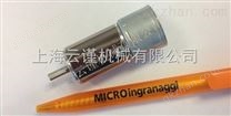 意大利microingranaggi gear圆柱齿轮及齿轮头