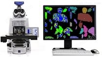 光学显微镜全自动矿物分析系统