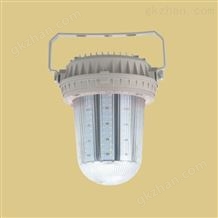 FZD181-202系列免维护（三防）LED防眩泛光灯（固定式通用灯具）