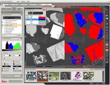 相面积百分比测量和分析 Leica Phase Expert