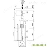 NF01针式热通量和温度传感器