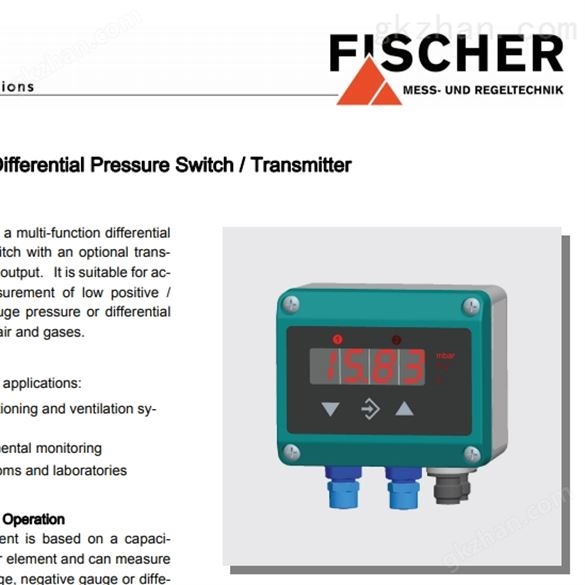 德国Fischer希而科 压力变送器 系列DE46