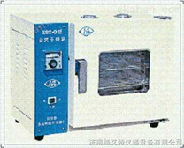 电热恒温干燥箱