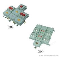 防爆照明（动力）配电箱（带漏电保护IIB）