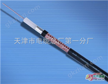 SYV50实心聚乙烯绝缘射频电缆SYV-50-12